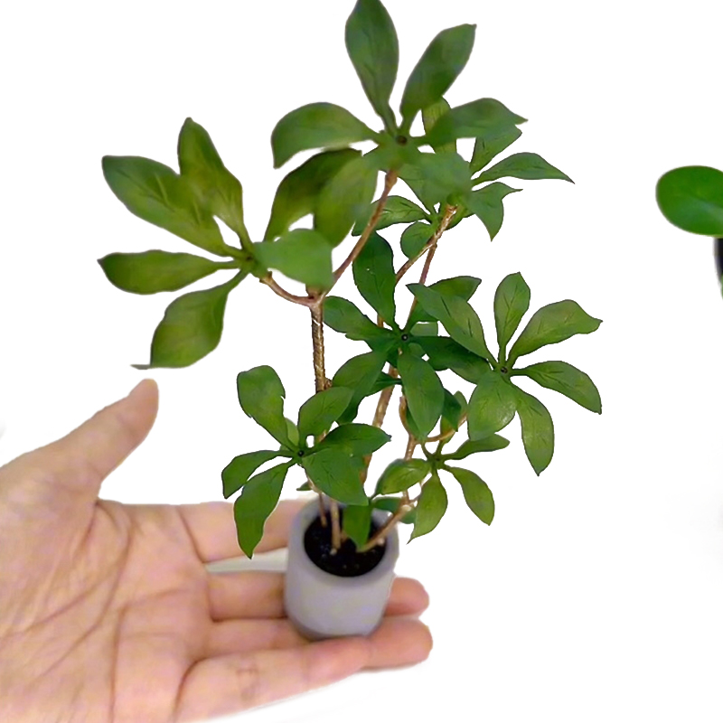 Bonsai Garden House - 1:6 Poppenhuis Miniatuur Potplanten Model Groenbladige