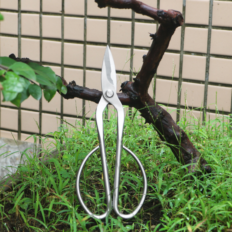 Bonsai Tool Set - Volledig stalen tuinschaar, gebladerte, spruiten, bloemenschaar,