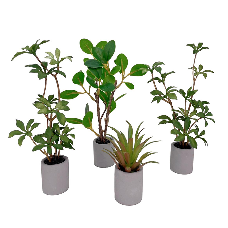 1:6 Poppenhuis Miniatuur Potpl - Bonsai Garden House recensie en prijs