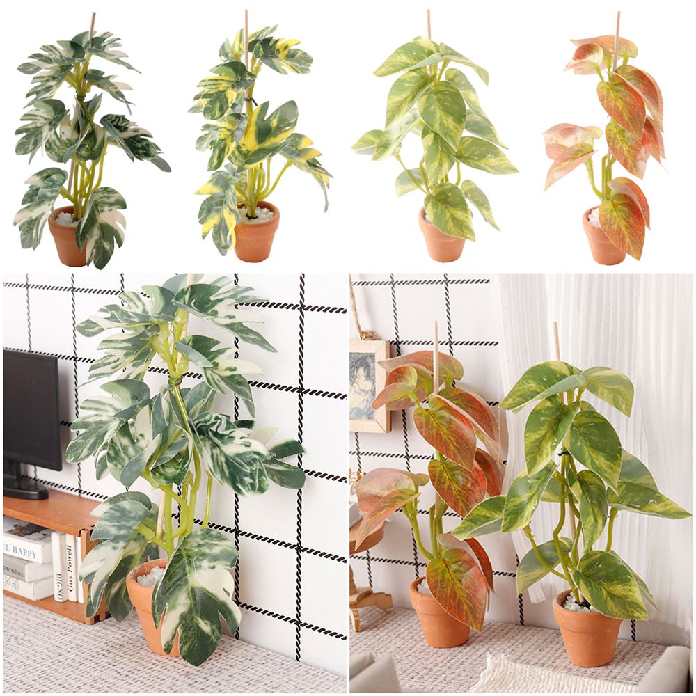 Creatief 1:12 poppenhuis plant - Bonsai Garden House recensie en prijs