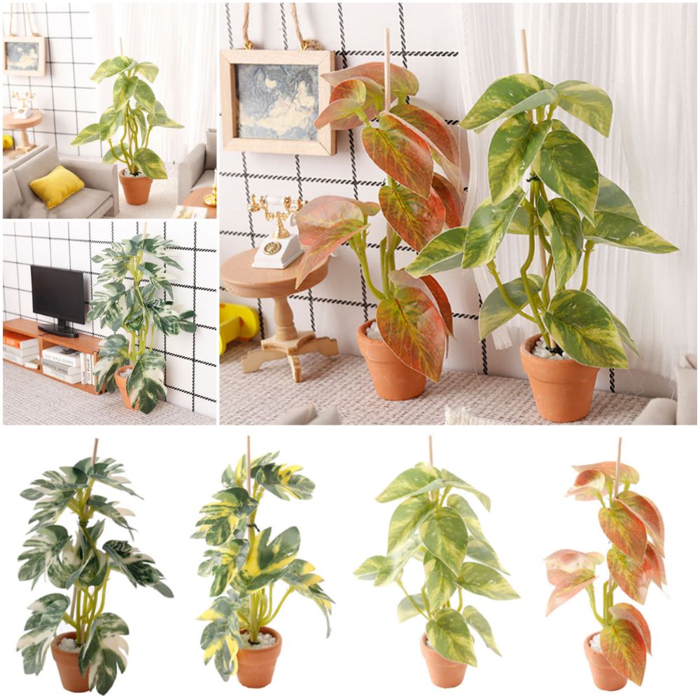 Creatief 1:12 poppenhuis plant - Bonsai Garden House recensie en prijs