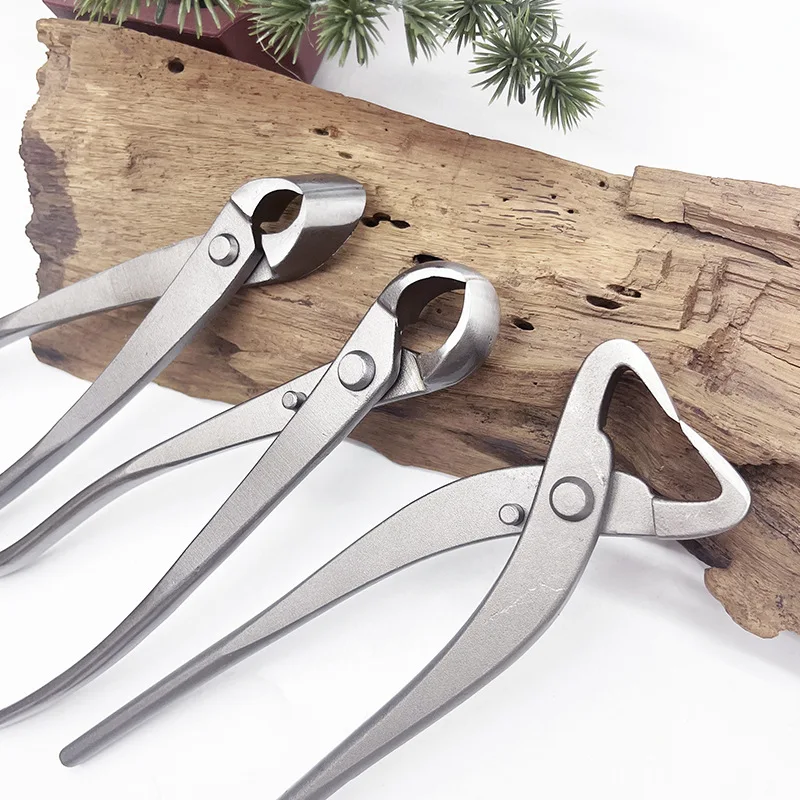 1 stks Rvs Bonsai Snoeien Tool - Bonsai Tool Set recensie en prijs