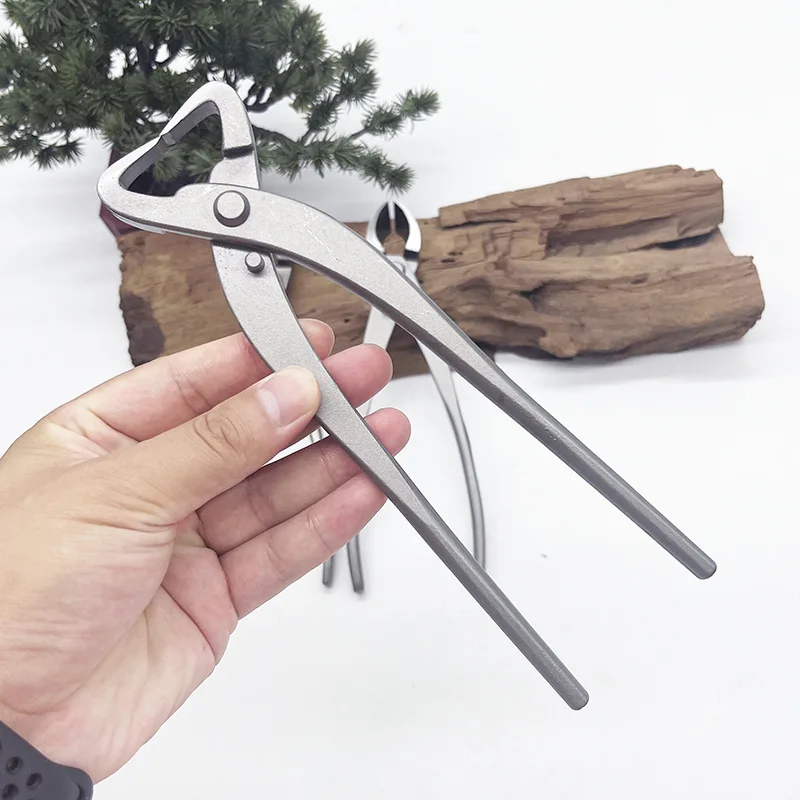 1 stks Rvs Bonsai Snoeien Tool - Bonsai Tool Set recensie en prijs