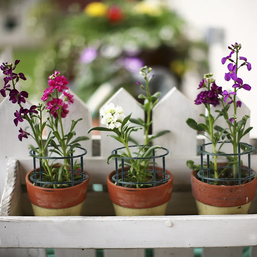 Tuinplantensteunkooi Plie Bloe - Bonsai Garden House recensie en prijs