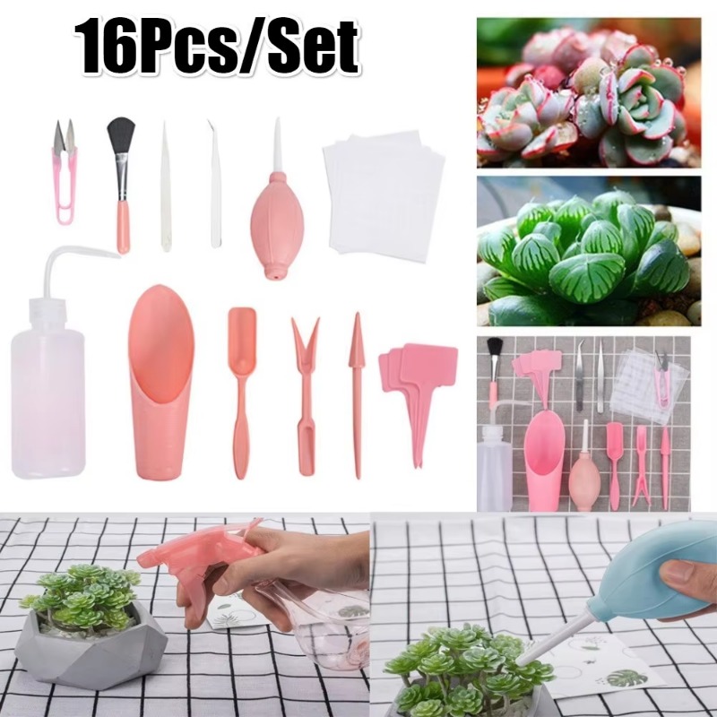 2026 Mini Tuingereedschapset 1 - Bonsai Zen Garden Set recensie en prijs