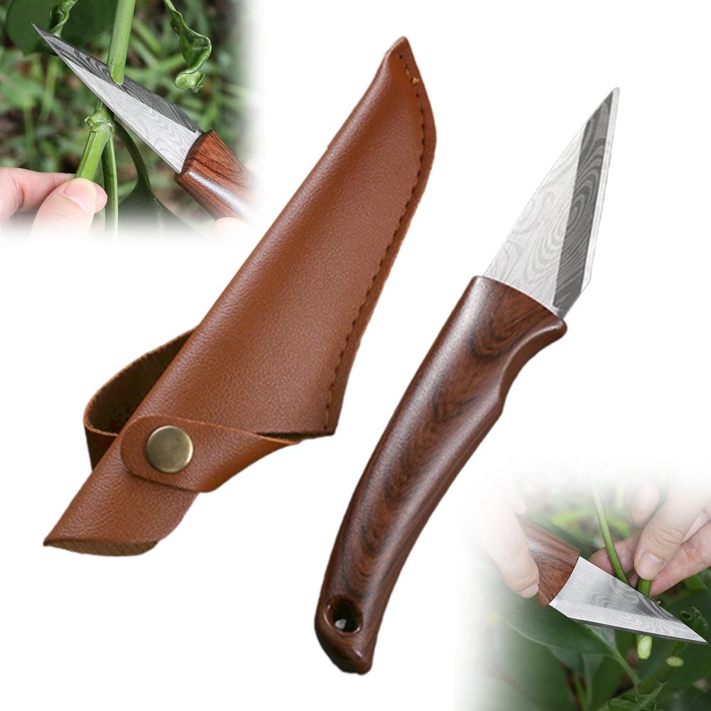 Houten handvat entmes met lere - Bonsai Tool Set recensie en prijs