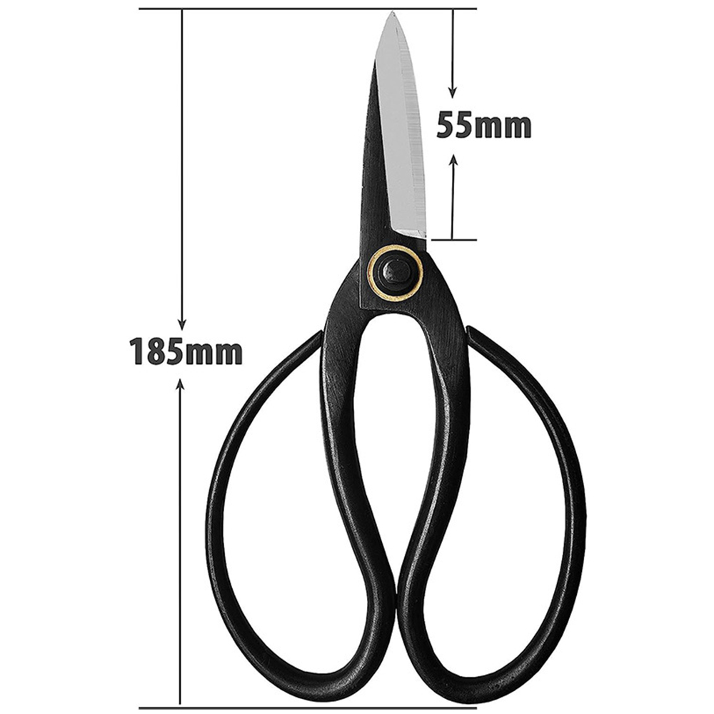 Professionele Bonsai Schaar Tr - Bonsai Tool Set recensie en prijs