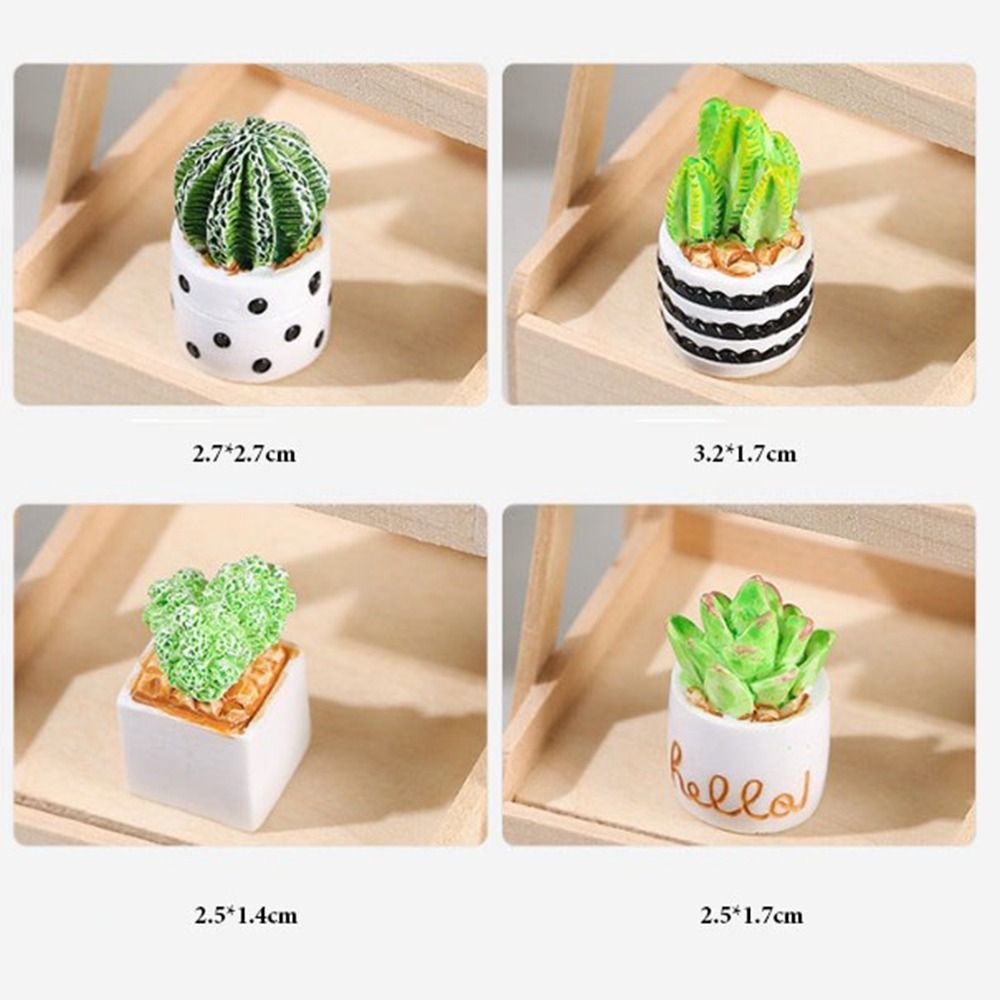 1:12 Poppenhuis Miniatuur Potp - Bonsai Garden For Home recensie en prijs
