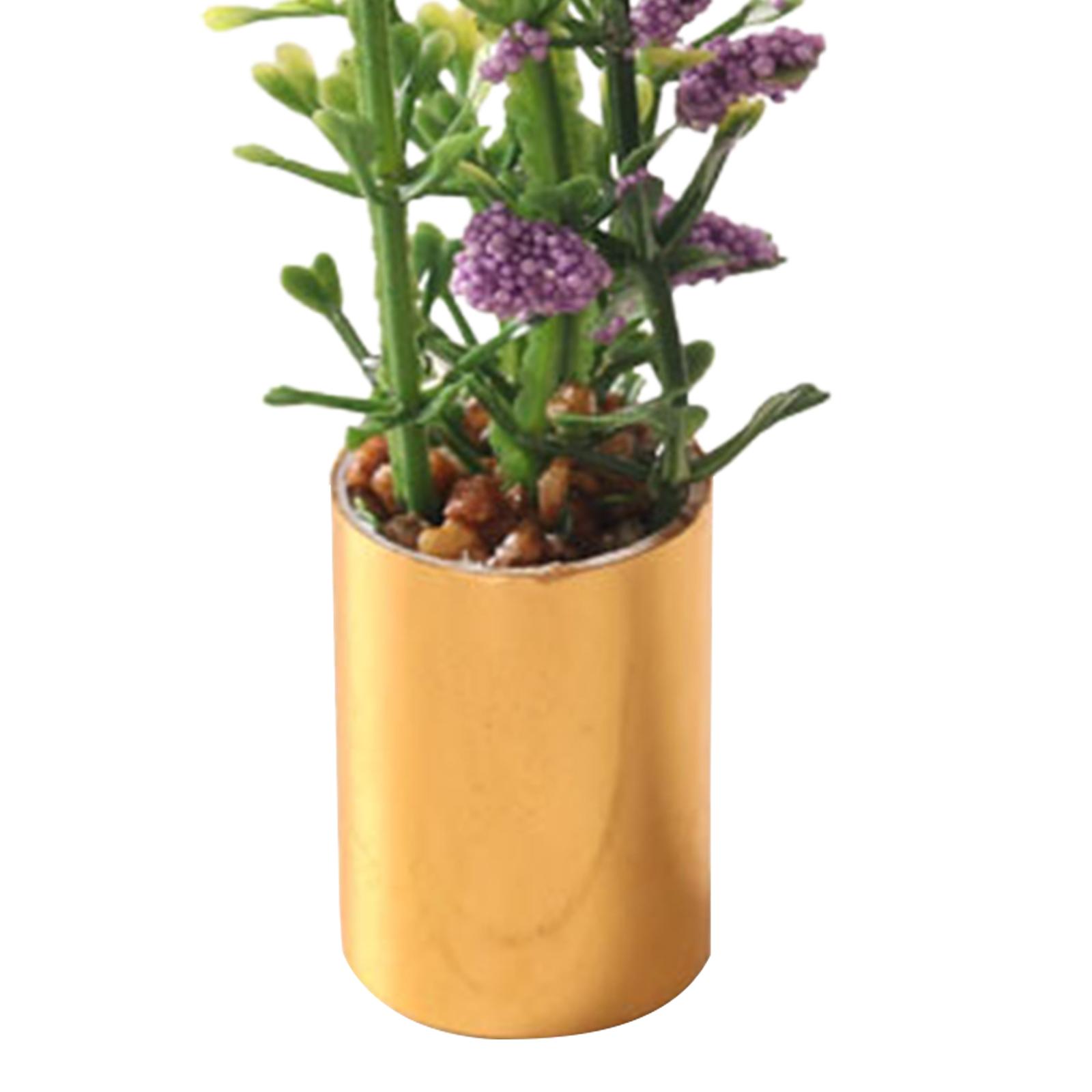 Miniatuur potplant ornament 1: - Bonsai Garden Display recensie en prijs