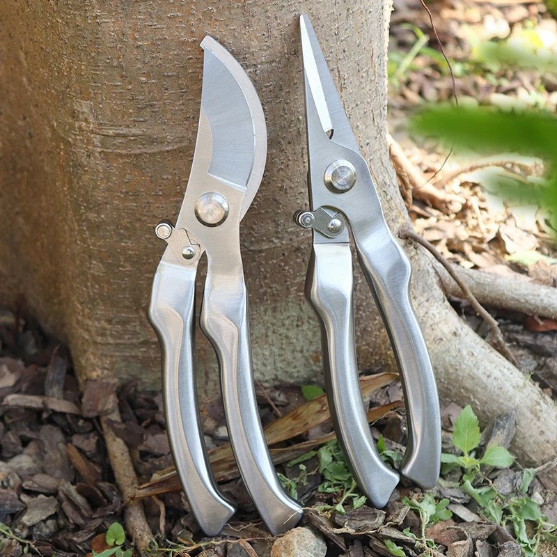 Volledig roestvrijstalen profe - Bonsai Tool Set recensie en prijs