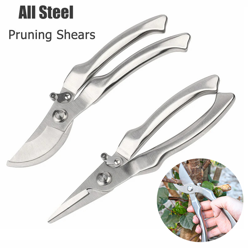 Volledig roestvrijstalen profe - Bonsai Tool Set recensie en prijs
