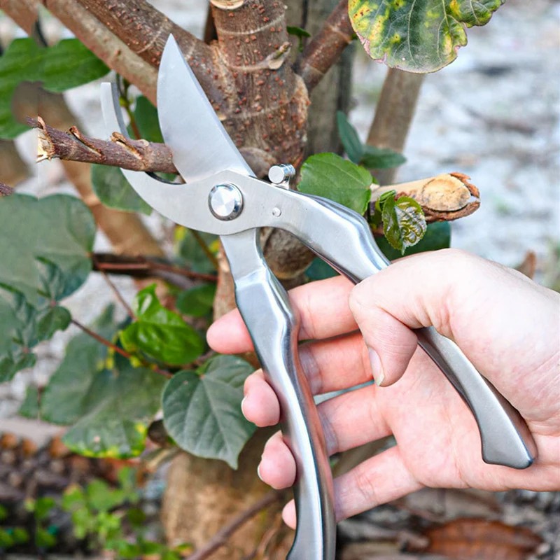 Volledig roestvrijstalen profe - Bonsai Tool Set recensie en prijs