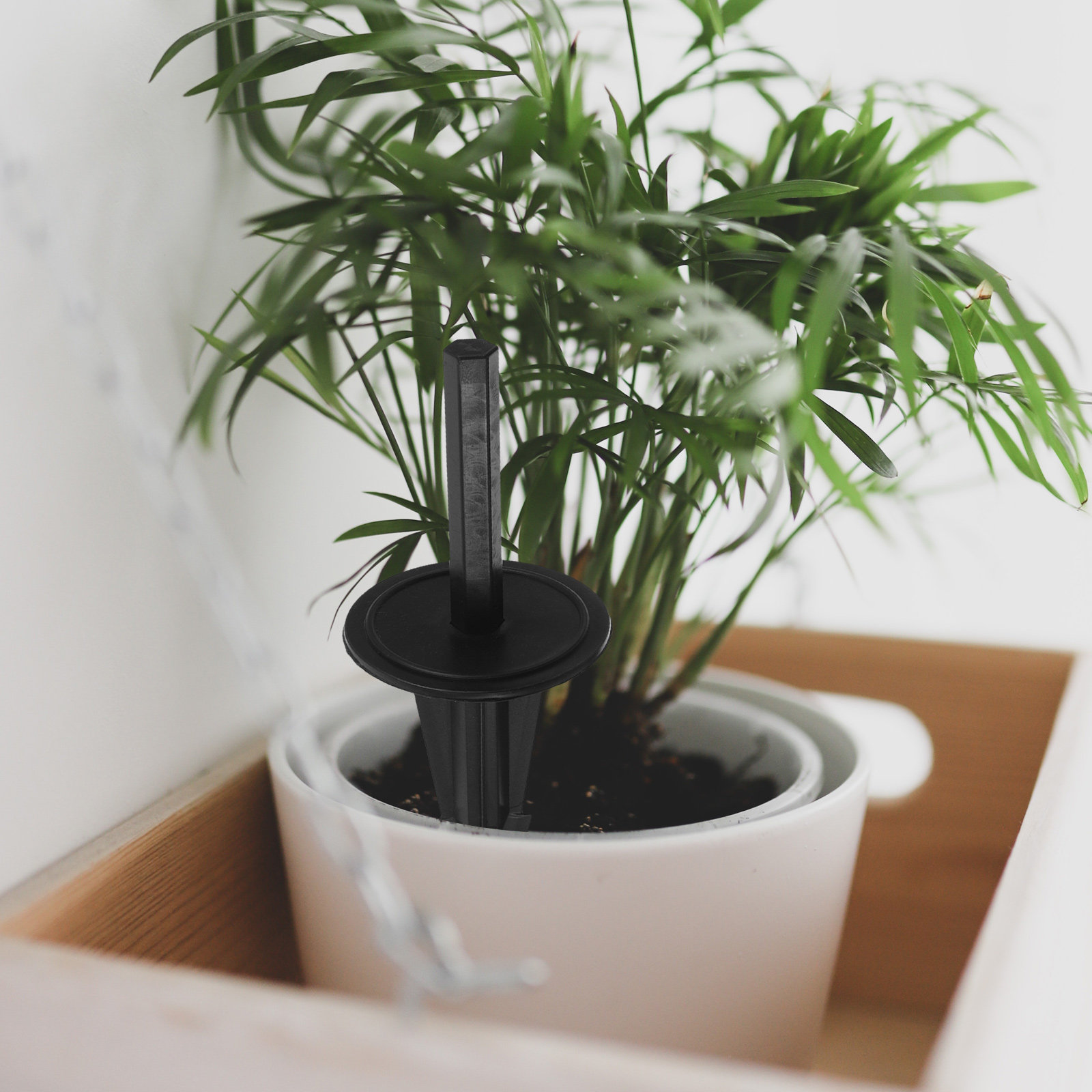 4 stuks simulatie potplant gro - Bonsai Garden Display recensie en prijs