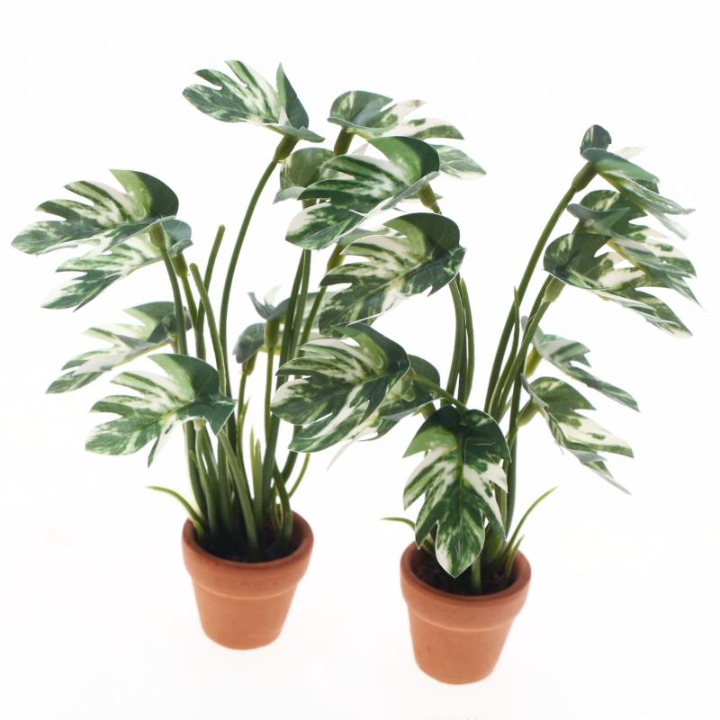 New.1PC 1/12 Poppenhuis Simula - Bonsai Garden For Home recensie en prijs