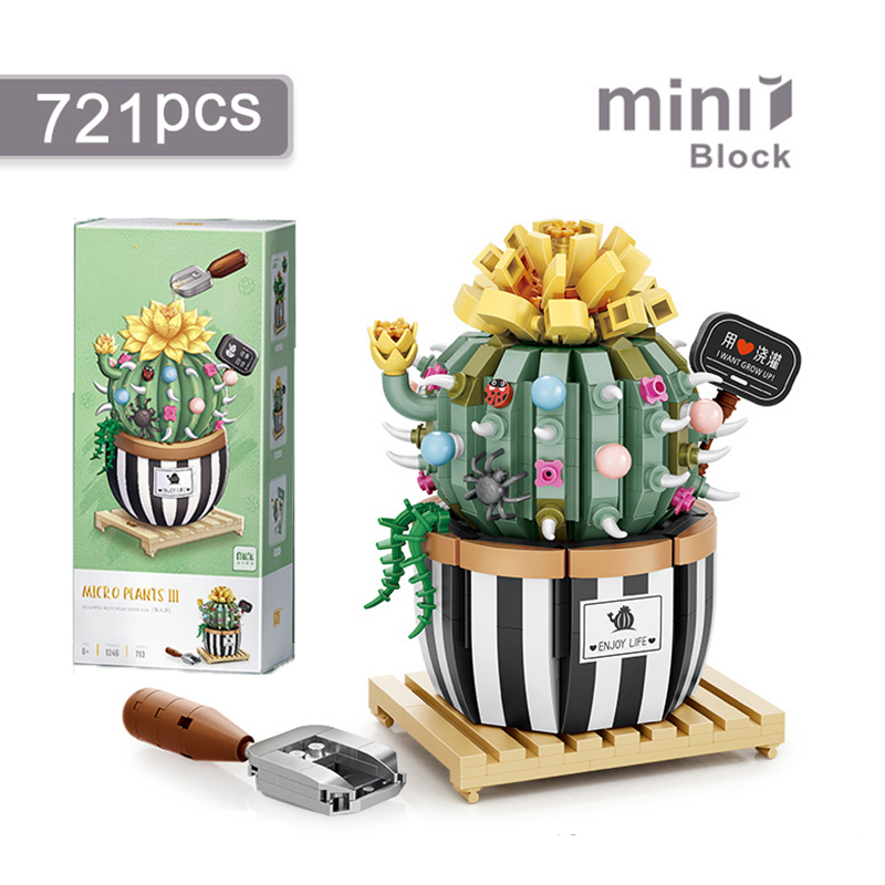 Creatieve bouwstenen Succulent - Bonsai Garden Lego recensie en prijs
