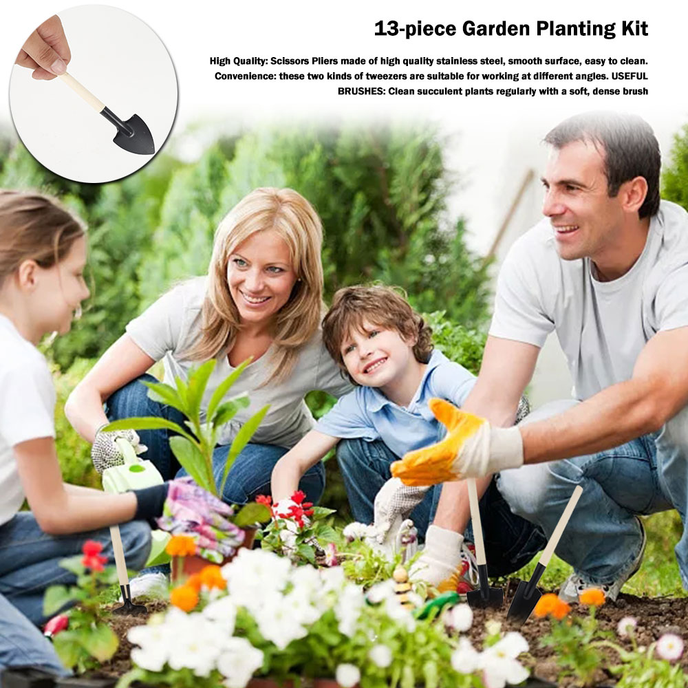 Vetplanten Gereedschap Mini Tu - Bonsai Tool Set recensie en prijs